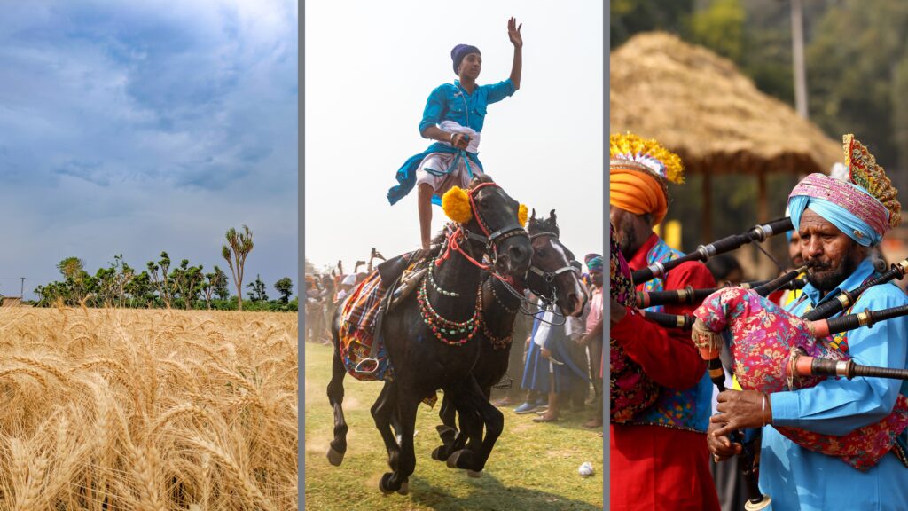 Punjab's Farm land, Cultural sport and music